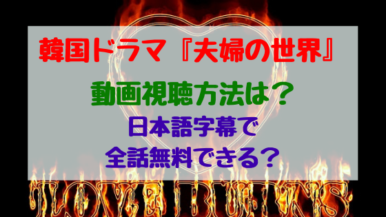 韓国ドラマ 夫婦の世界 動画視聴方法は 日本語字幕で全話無料できる トレンドポップ